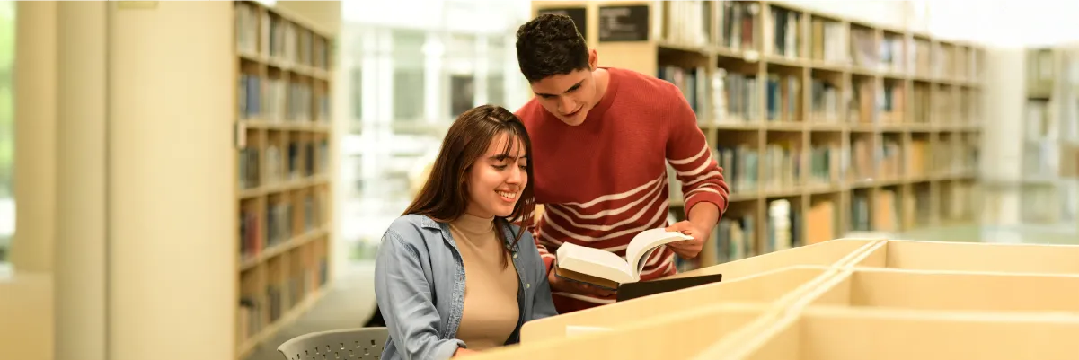 Cuanto Dura Un Ciclo En La Universidad