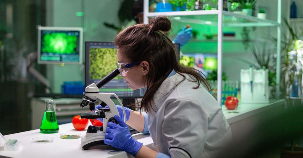Malla De Biologia Upc 1
