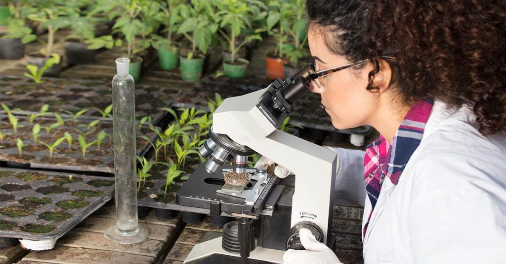 Que Estudian Los Biologos Upc